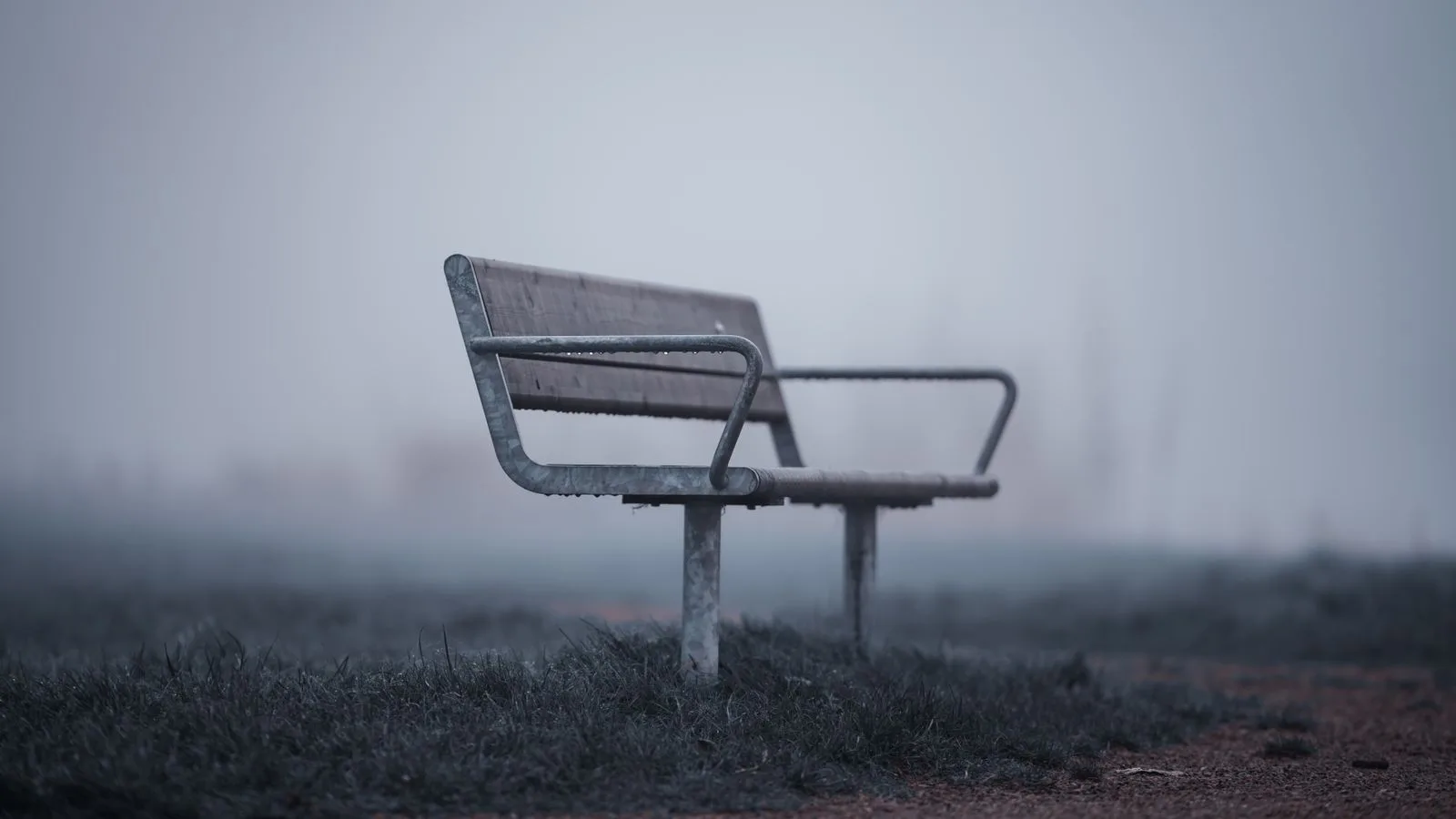 Una banca vacía en un parque cubierto de niebla