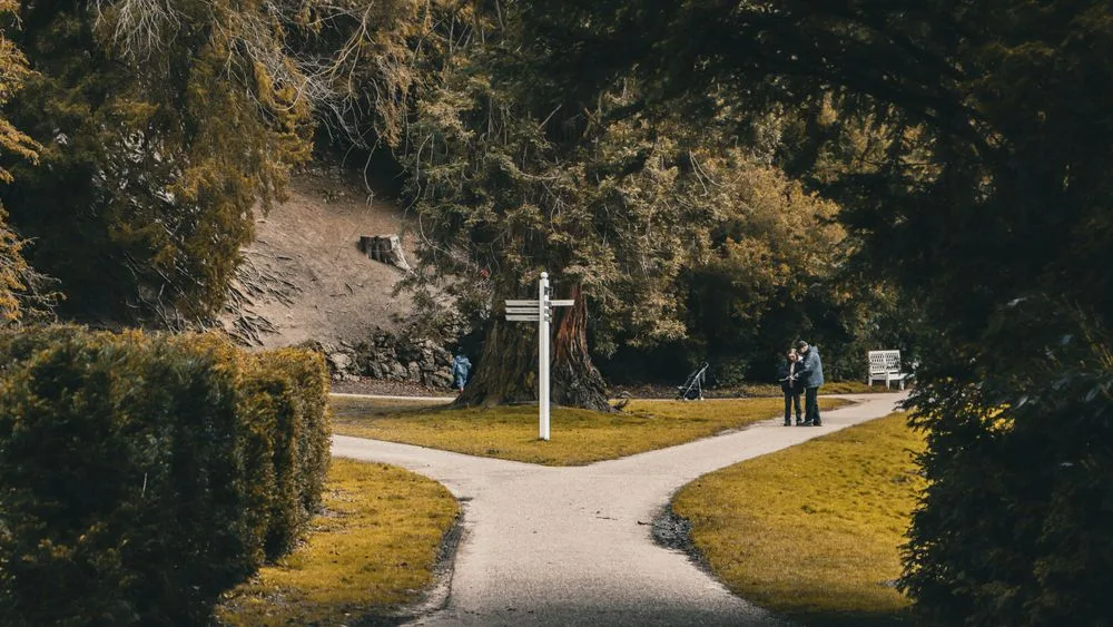 Un camino que se bifurca en dos direcciones dentro de un bosque