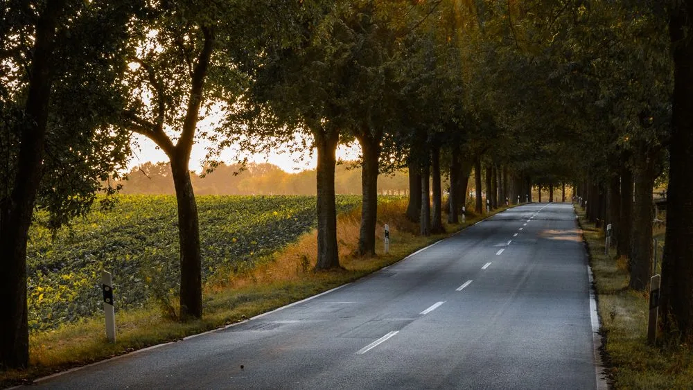 Una carretera vacía al amanecer, con el sol saliendo al fondo
